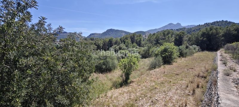 Foto 8ff0b6b2-58f5-44c0-a290-de6ce1cebcf2. Terreny residencial a Tormos
