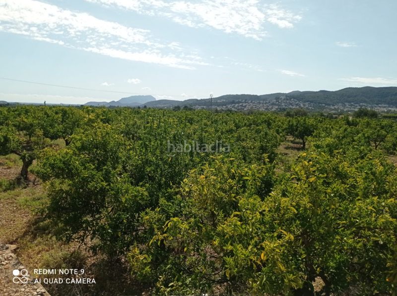 Foto c7d822d1-d924-4034-a971-d0500050f43b. Terreny residencial a Tormos