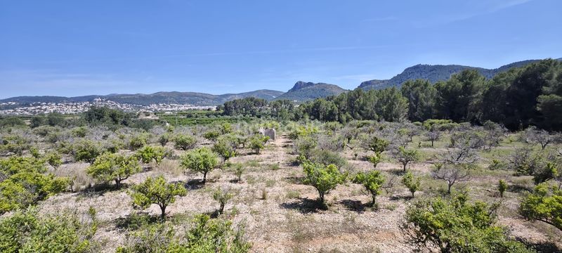 Foto d4a1ee9d-d826-4ff5-84ba-be055c7625d4. Terreny residencial a Tormos