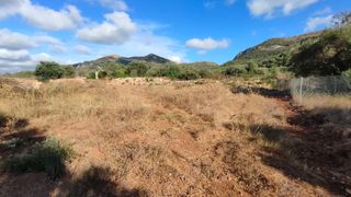 Mas à Alcalalí