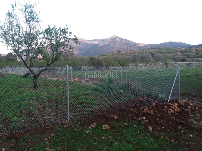 Foto 1f9fe7a2-2c50-4972-83e0-d94ff320144e. Masia a Alcalalí