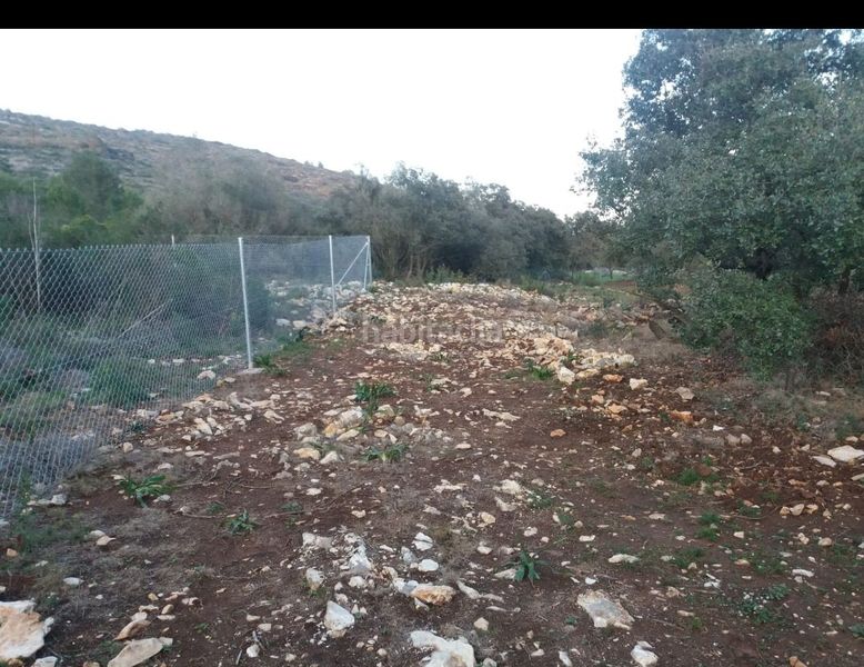 Foto 6123991c-32d3-4b90-8226-32411fa0ce9c. Masia a Alcalalí