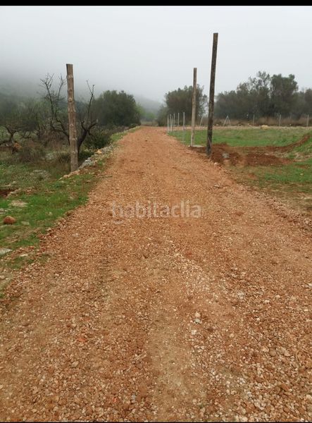 Foto d575d855-8d4c-4a3c-8207-b8c91bafb743. Masia a Alcalalí