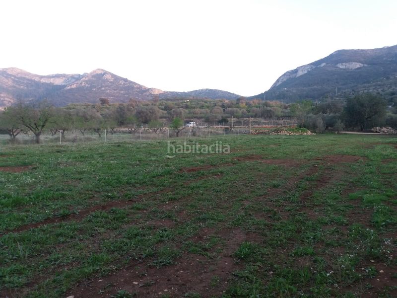 Foto d829dd68-4c1e-48ed-ad82-c2a4ec2fdf06. Masia a Alcalalí