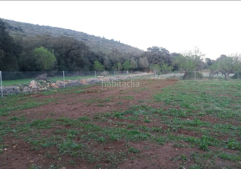 Foto d96971b0-044b-4056-8e3d-b102915ca23d. Masia a Alcalalí