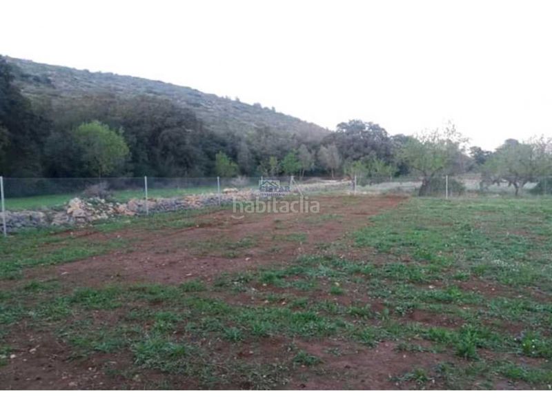 Foto a3499469-c443-4ec2-83cc-09cd8384f866. Terreny residencial a Alcalalí