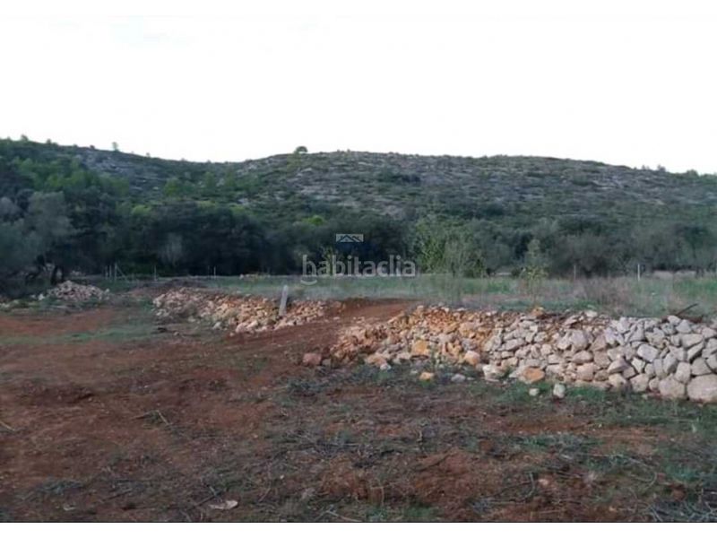 Foto ca6feaae-3488-404d-a967-b5d475134cc2. Terreny residencial a Alcalalí