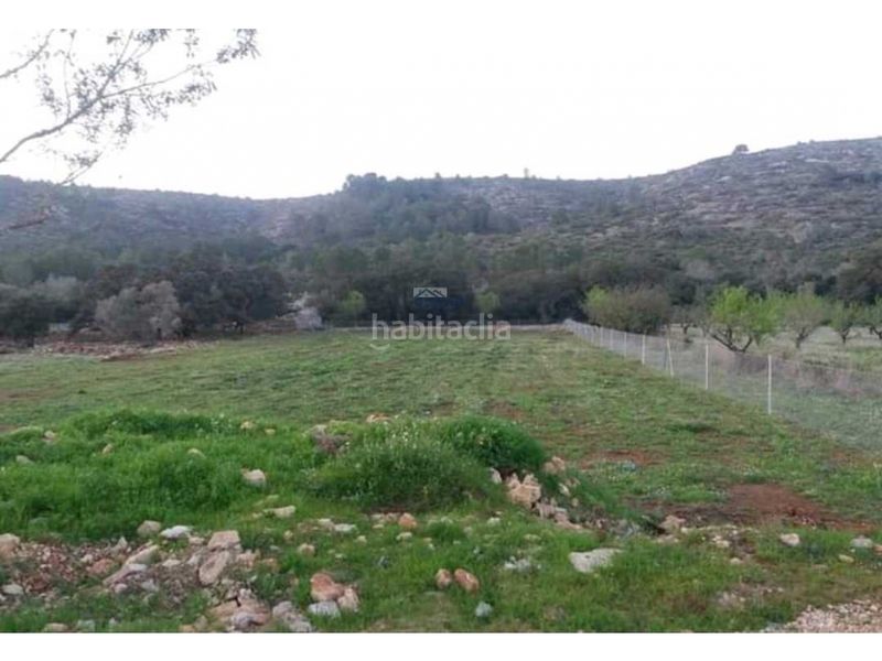 Foto cdf2bbec-a26e-4c60-8107-9d416855f930. Terreny residencial a Alcalalí