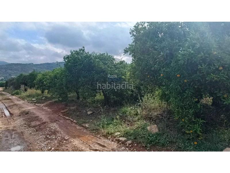 Foto 1d53aed8-03ba-4c69-844f-8b2a635bf50e. Residential plot in Benidoleig