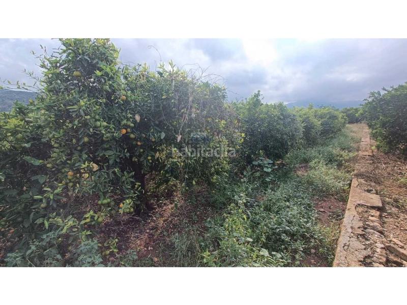 Foto 405cbdb4-716e-4120-9dc5-cf3ad50b1772. Residential plot in Benidoleig