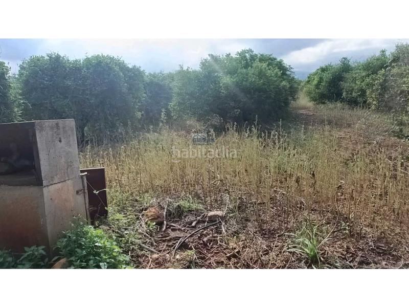 Foto 5cb5e443-bad0-47c1-bfee-c6a78f4b11e0. Residential plot in Benidoleig