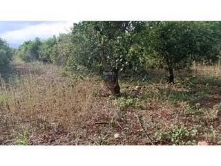 Terreny residencial a Benidoleig. Venta parcela benidoleig