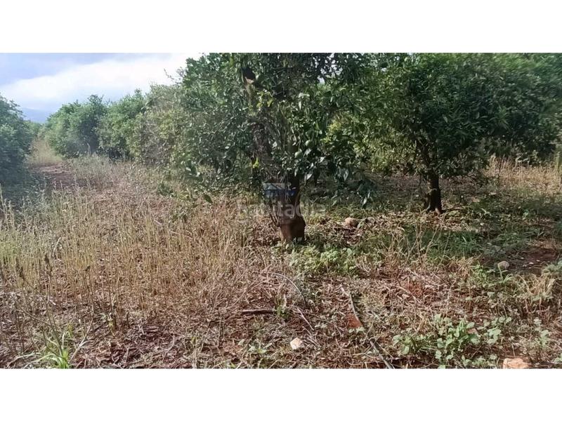 Foto 6cad4eee-b5e9-4c15-99b6-22133bf2b24a. Residential plot in Benidoleig