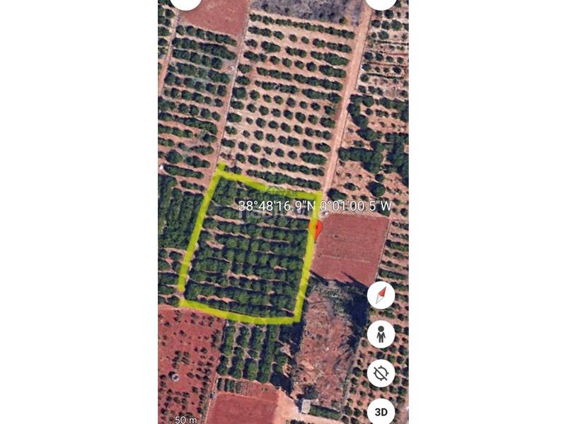 Foto 8ef0bec5-ee65-4200-8194-4f4448232d1d. Residential plot in Benidoleig