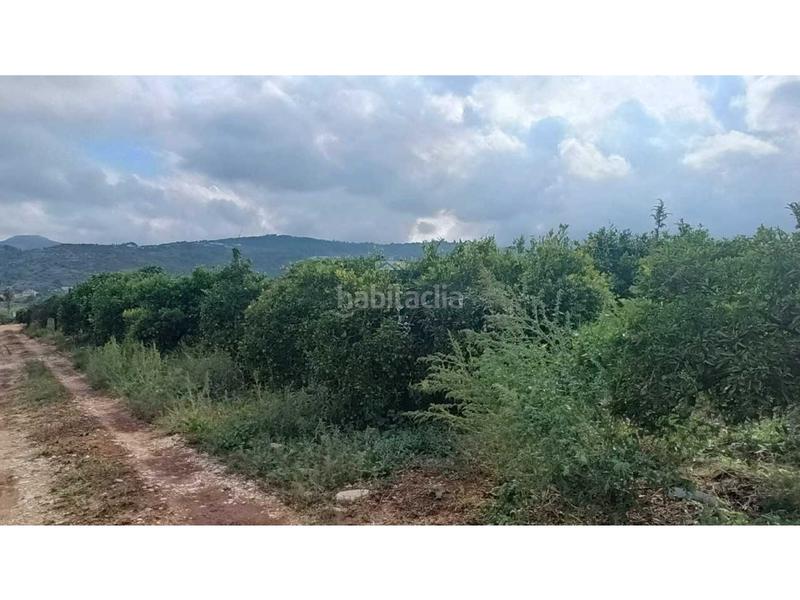 Foto d214f376-a31d-49e6-a120-68ac2be10574. Residential plot in Benidoleig