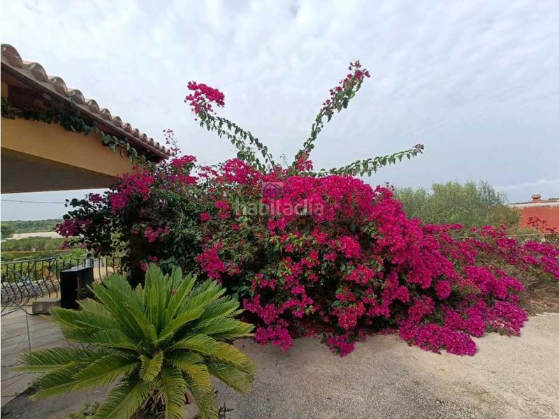Foto 0d09d02b-aa4e-4004-8620-51803c06f24d. Masía venta casa campo en Gata de Gorgos