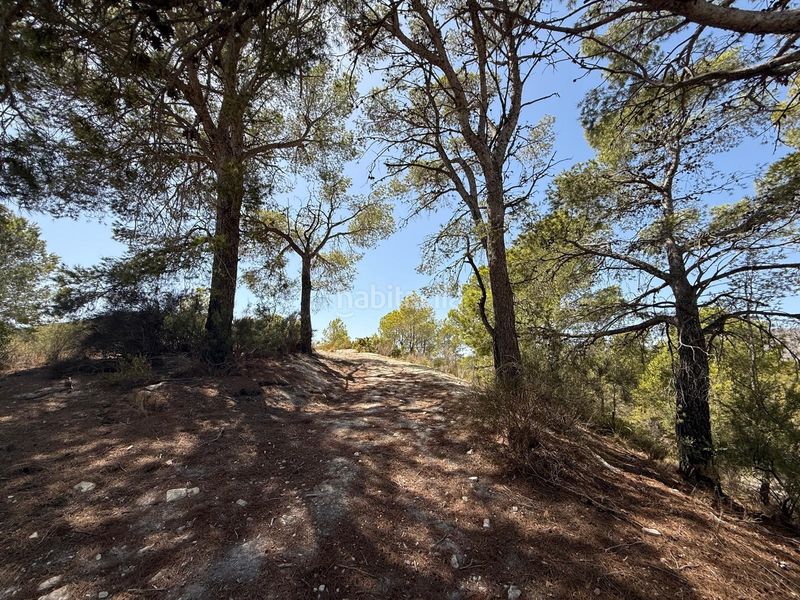 Foto 8f46e14b-c48e-4ce1-89ad-20442d34ad98. Finca rústica a Aigües