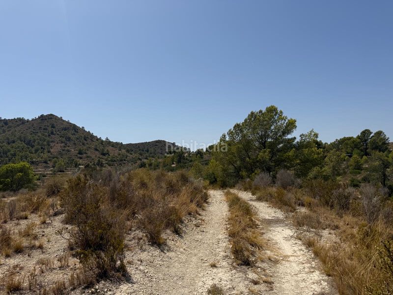 Foto e5d75c94-46a3-4fb5-96f4-4893280308a6. Finca rústica a Aigües