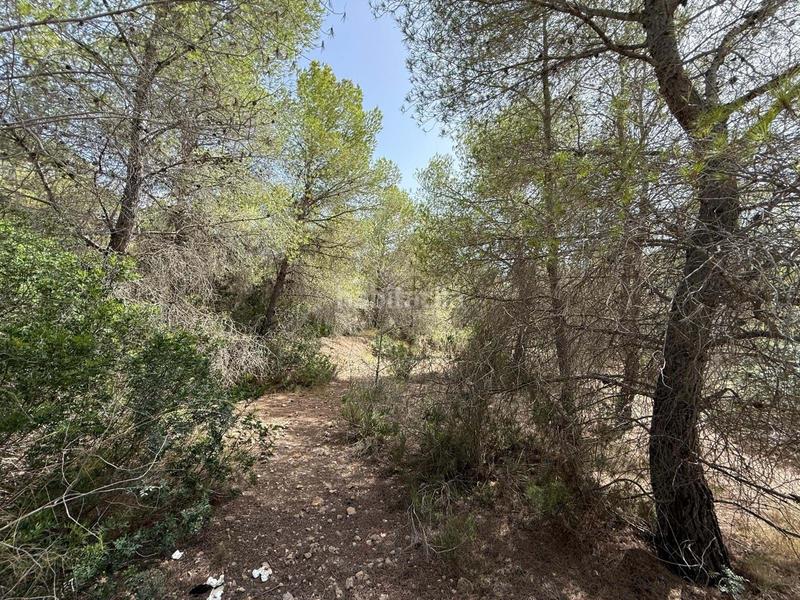 Foto ceff8d3b-e5c6-4b70-8f3b-13480ffb1414. Fondo rustico in Sierra Helada Benidorm