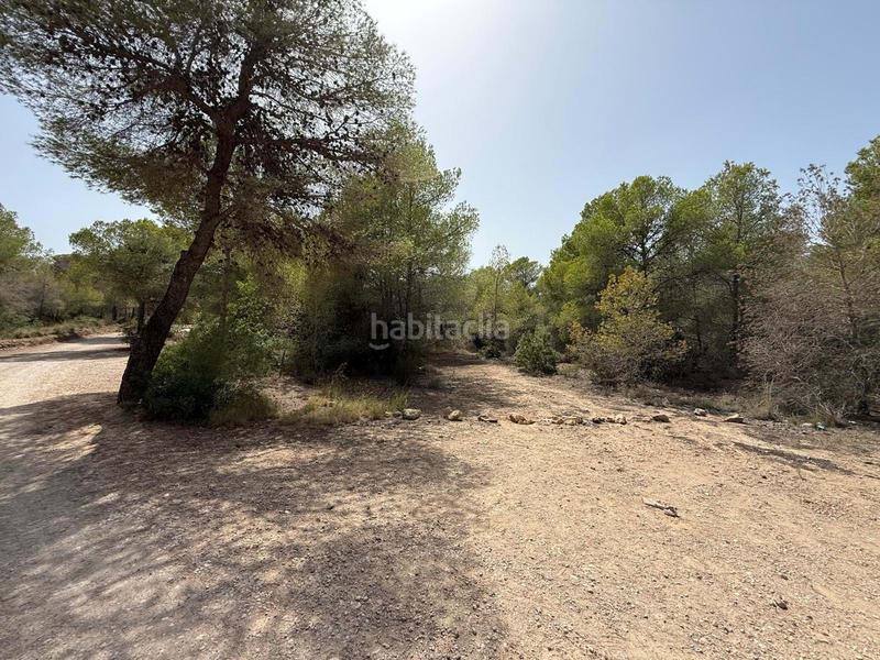 Foto 3afadb66-e6b9-42c8-a07e-729d4ae2ad10. Landgut in Sierra Helada Benidorm