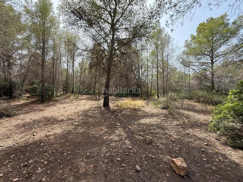 Foto 43574a16-32a4-49c8-b77a-5be741f23af9. Landgut in Sierra Helada Benidorm