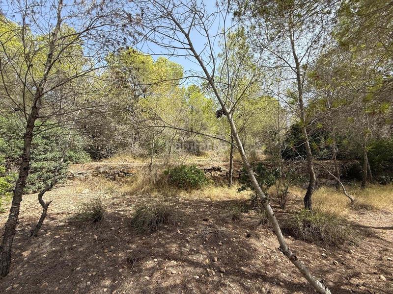 Foto a6c449a9-1d39-4dc2-9b35-ace0adb1533a. Landgut in Sierra Helada Benidorm