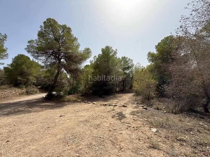 Foto e207d13d-af7d-489d-b3a6-1dabf7ee626c. Landgut in Sierra Helada Benidorm