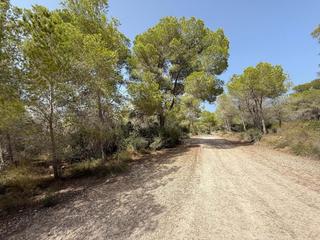 Finca rústica  Pla de l'assagador