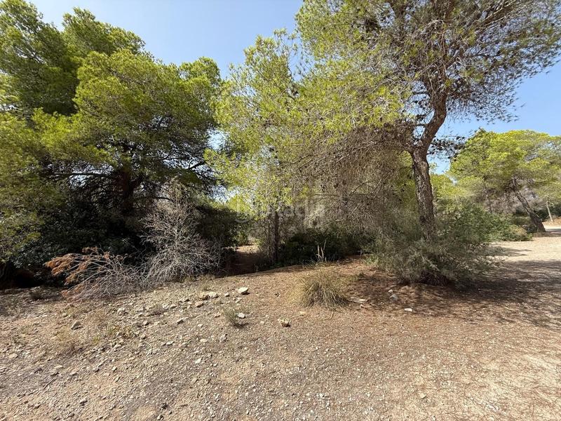 Foto 147a4eae-ca93-4dbf-97f9-04a842d65028. Finca rústica en Sierra Helada Benidorm