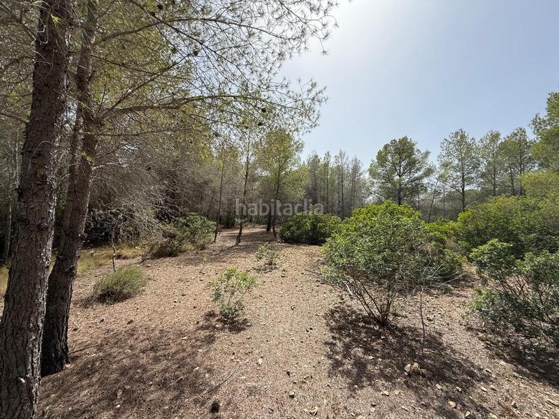 Foto 20c2ee31-a032-428d-90ea-330df1d76c80. Finca rústica en Sierra Helada Benidorm