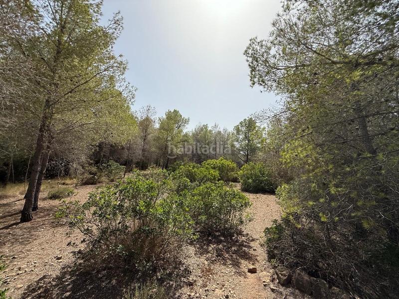 Foto 3ed60032-1d3b-4e84-a489-917ea2ffc979. Finca rústica en Sierra Helada Benidorm