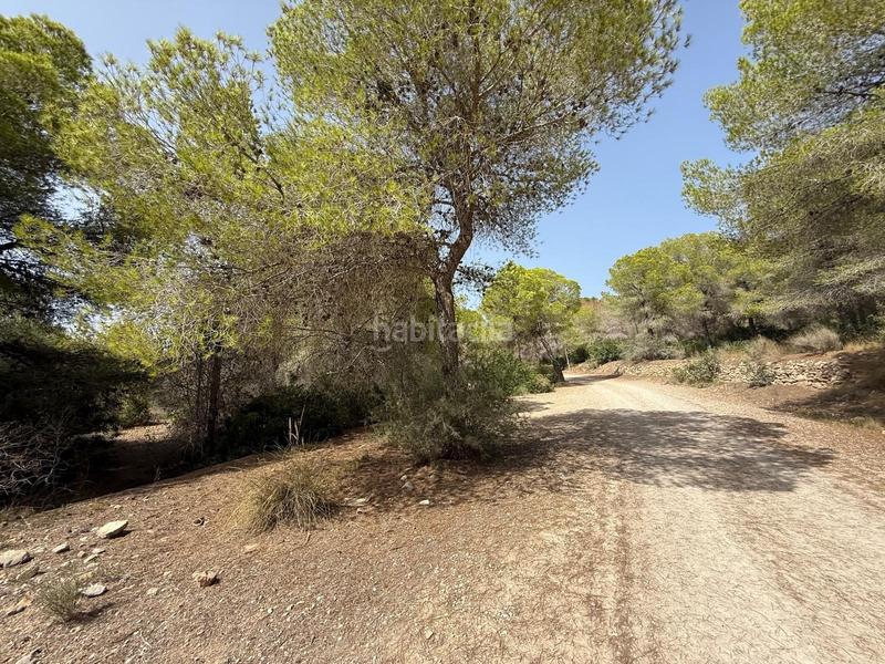 Foto 5bcd6f12-6853-4cea-89f4-c559afcaf72e. Finca rústica en Sierra Helada Benidorm