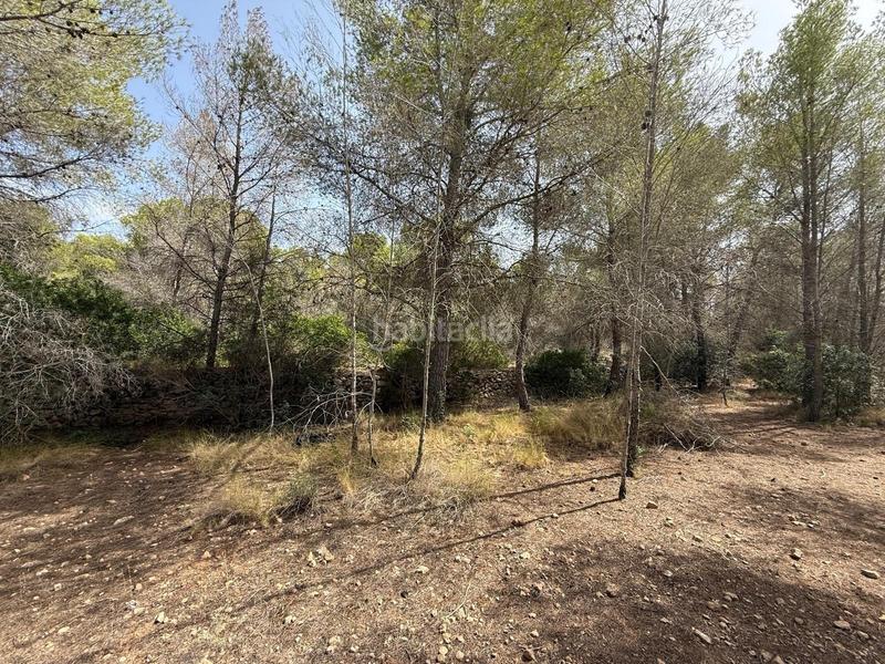 Foto 86e54668-e1c9-4353-b574-b7f021ceaae0. Finca rústica en Sierra Helada Benidorm