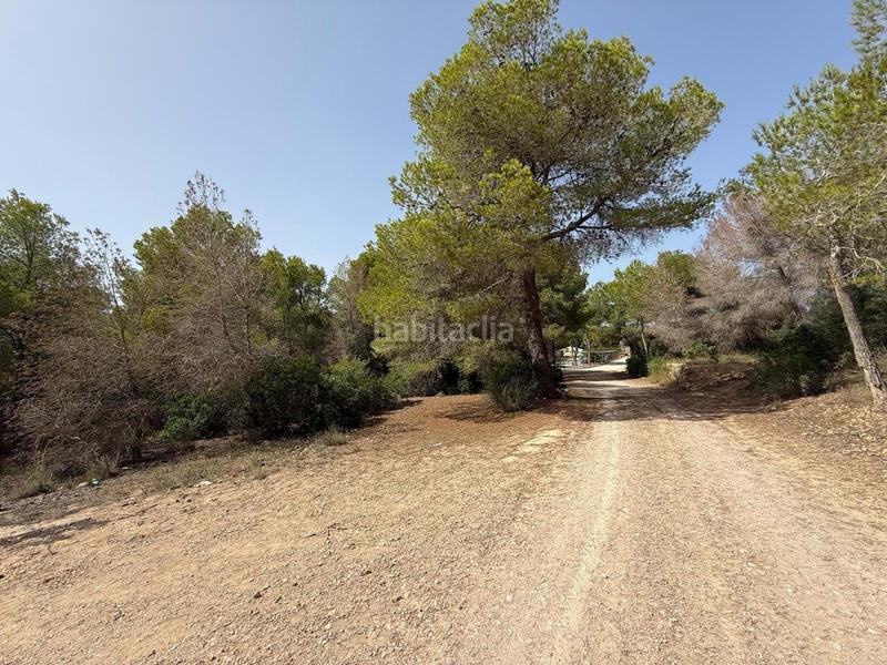 Foto db83dce5-ee91-4c30-ab9b-1e04cac86212. Finca rústica en Sierra Helada Benidorm