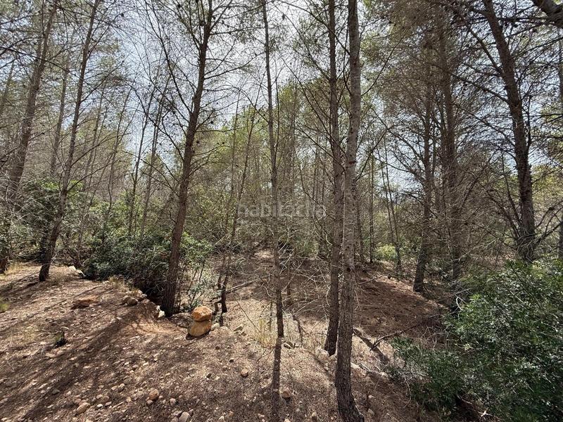 Foto f069c343-d07f-4a29-95c6-8365b204d33b. Finca rústica en Sierra Helada Benidorm