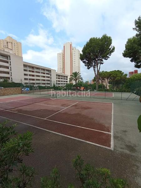 Foto 43fb3edb-4c37-4277-afd5-7688e2fcc97b. Estudio en Rincón Alto Benidorm