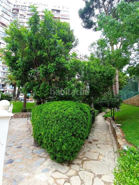 Foto 4e2b9b71-18f0-4e55-8bb4-aad51ffe0f0f. Estudio en Rincón Alto Benidorm