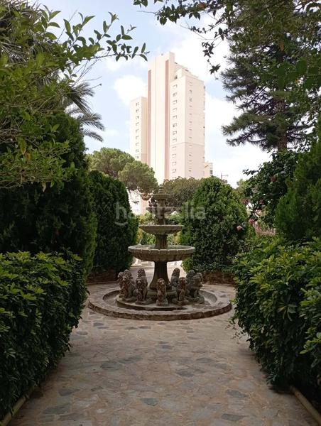 Foto 9e2dd7e0-d9c9-4bd2-b38f-eecc29ceff45. Estudio en Rincón Alto Benidorm
