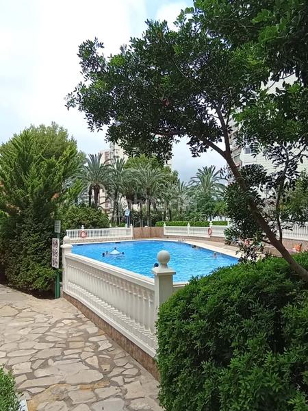 Foto d999b0fa-f196-4f04-87e2-92a856a719c5. Estudio en Rincón Alto Benidorm
