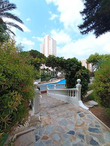 Foto fb16e74f-af35-48d9-b951-4a9c2ae2141d. Estudio en Rincón Alto Benidorm