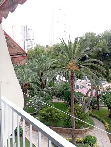 Foto fc6365c2-5d59-4cb8-9d53-905647232485. Estudio en Rincón Alto Benidorm