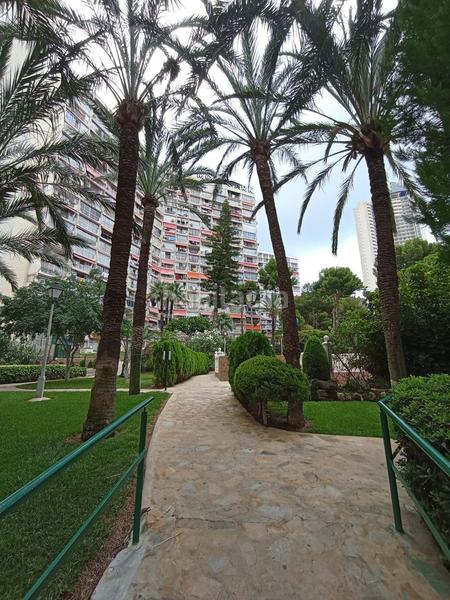 Foto 1483c77c-8230-43b7-bd79-b0b111e77176. Studio avec piscine dans Rincón Alto Benidorm