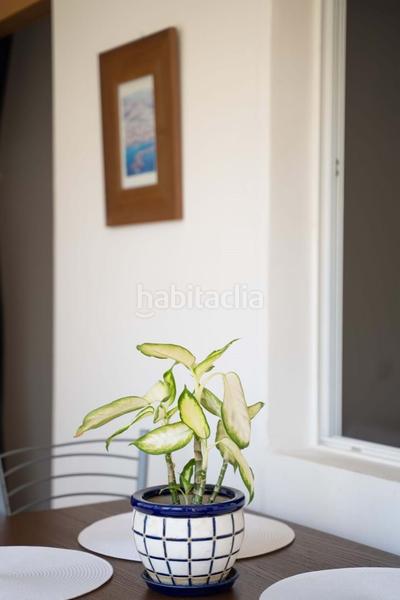 Foto 12a9a837-6aab-4c15-aa77-5b11cb7ed321. Flat with pool in Playa Poniente Benidorm