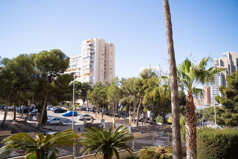 Foto 37d3024a-7215-4c79-9f2f-a4544fafd367. Piso en Playa Poniente Benidorm