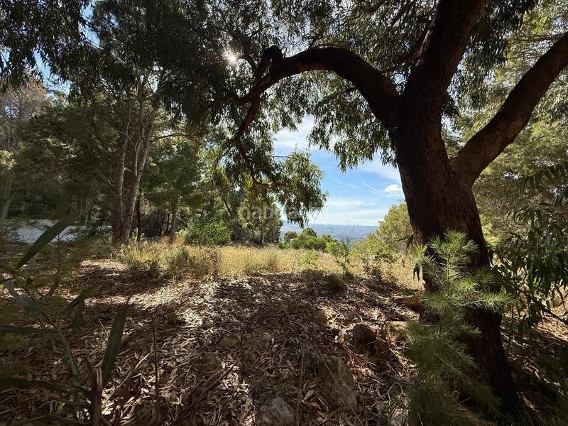 Foto be9bdd80-4650-4df5-88fc-775dec516c9f. Terreno residencial en Altea la vella Altea