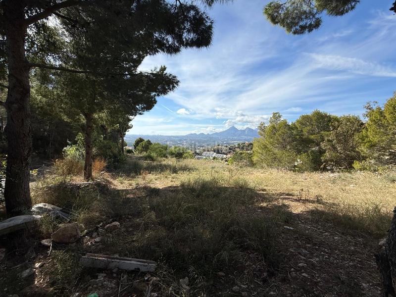 Foto 4039b874-4304-4beb-9213-e3be64d4d27e. Terreno residenziale in Altea la vella Altea