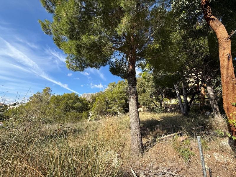 Foto 60fc66eb-e239-4cfd-a2c5-592b7b78811d. Wohngrundstück in Altea la vella Altea