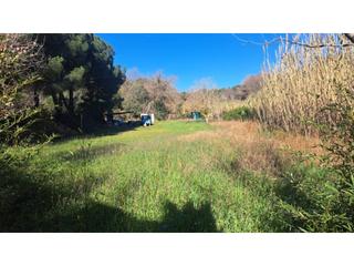 Finca rústica  Dublín. Terreno en venta en sant antonio de calonge cerca de la playa