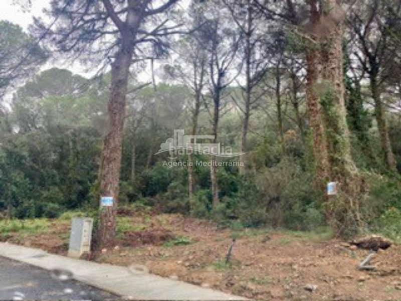 Foto 4783d137-9020-4c3f-a5c1-30a0b06bf625. Finca rústica a Mas Pere-Río de Oro Calonge