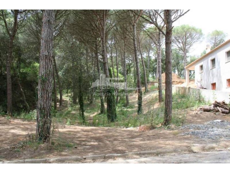 Foto d0029dbc-8e42-4391-829b-9186ac4b9eb0. Finca rústica a Mas Pere-Río de Oro Calonge
